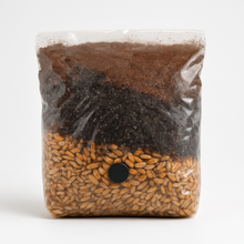 all in one mushroom grow bag